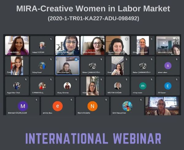 International Webinar